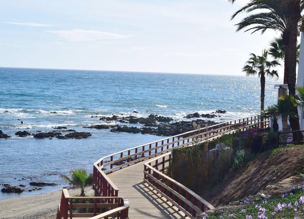 IB Economics Global Public Goods