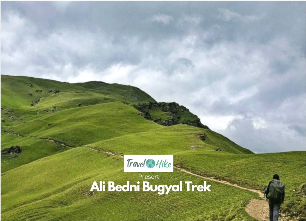 Trekkers scaling the lush trails of the Himalayas.