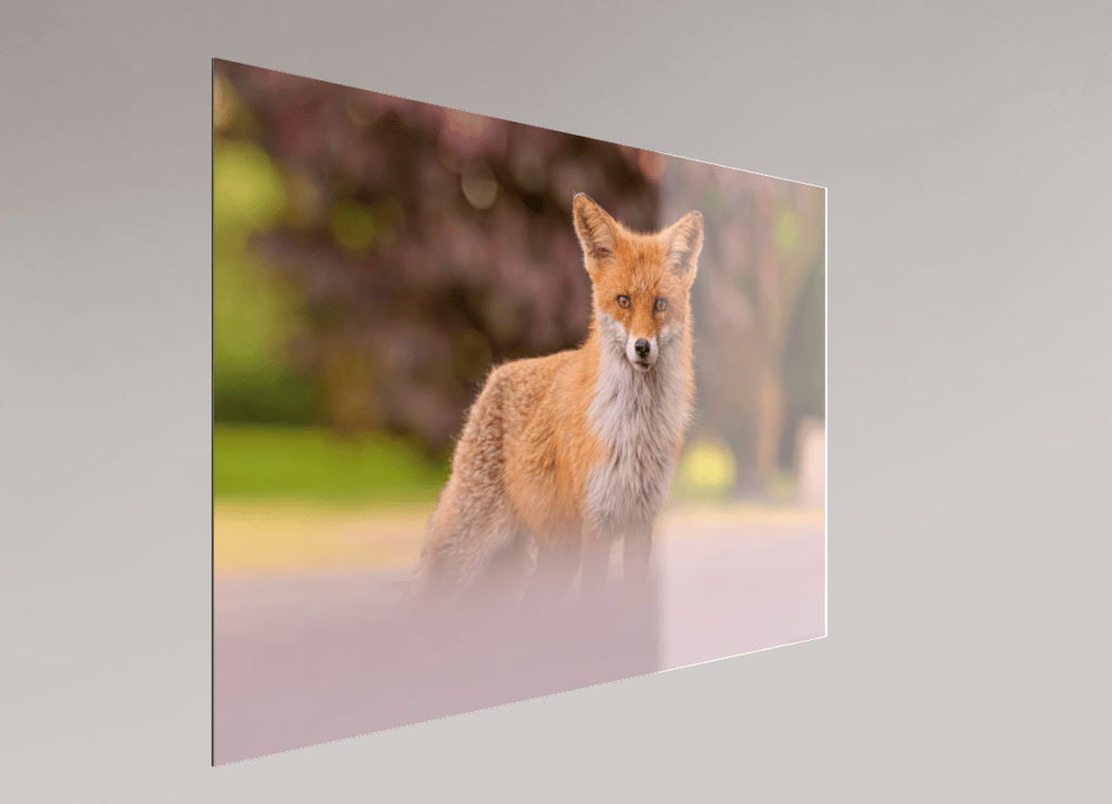 Gallery Print sous plexi + aluminium — exemple de rendu avec profondeur