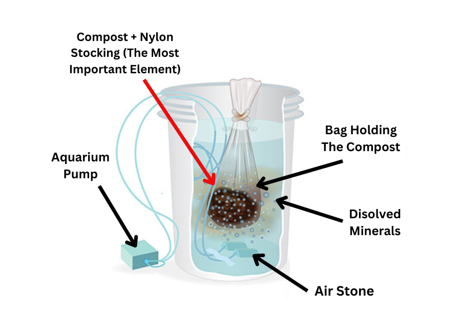 How Compost Tea Works