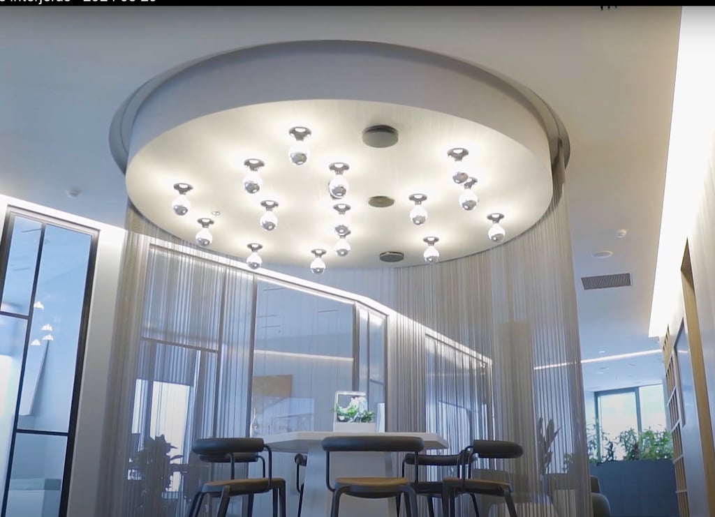 sienų ir lubų apdaila