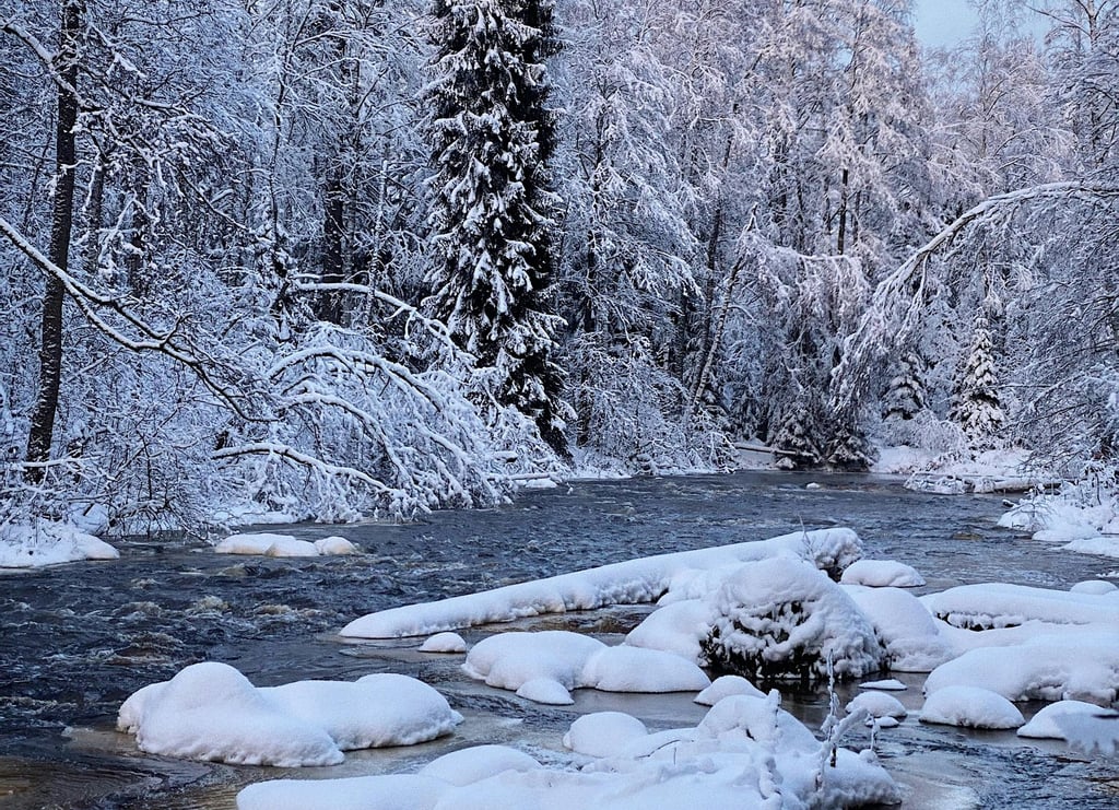Frozen river in snowy forest, highlighting winter survival challenges and icy terrain awareness