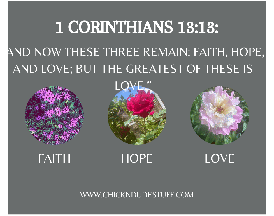 faith, hope, love, chickndude