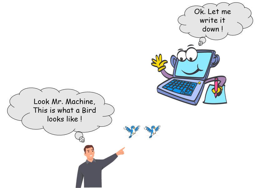 A Human teaching Machine how to Learn.