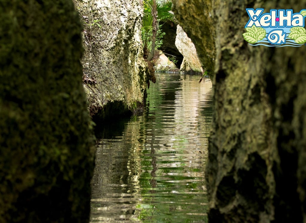mexico riviera maya xel-ha