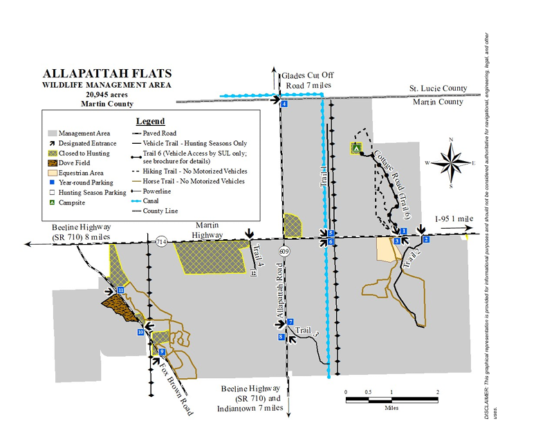 Allapattah Brochure Map Example