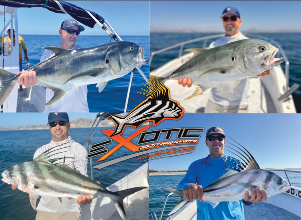 a collage of a group of four fish on a boat