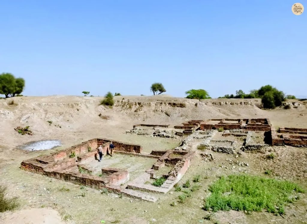 Archaeological site of Naliasar near Sambhar Salt Lake, revealing traces of lost settlements.