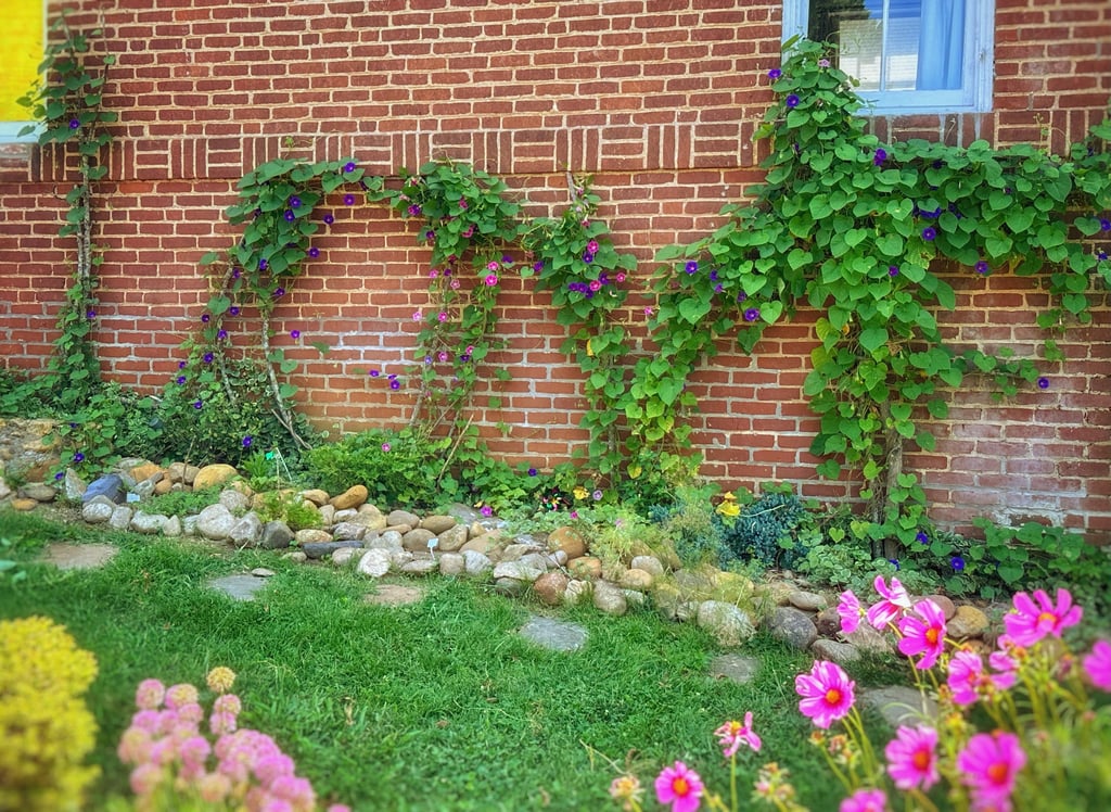 Virginia love sign made of vines 2123 Rivermont