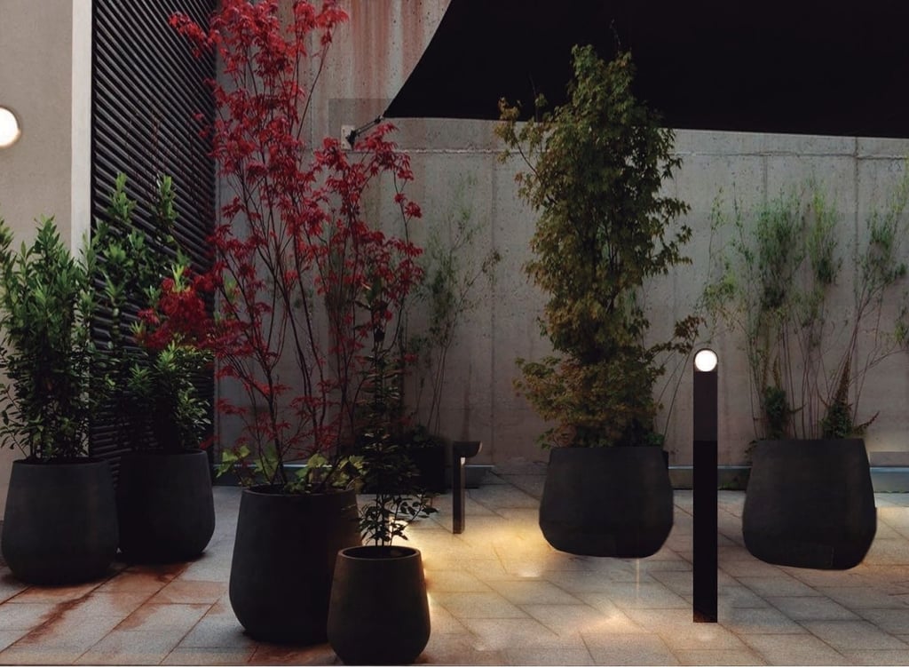 jardín nocturno iluminado