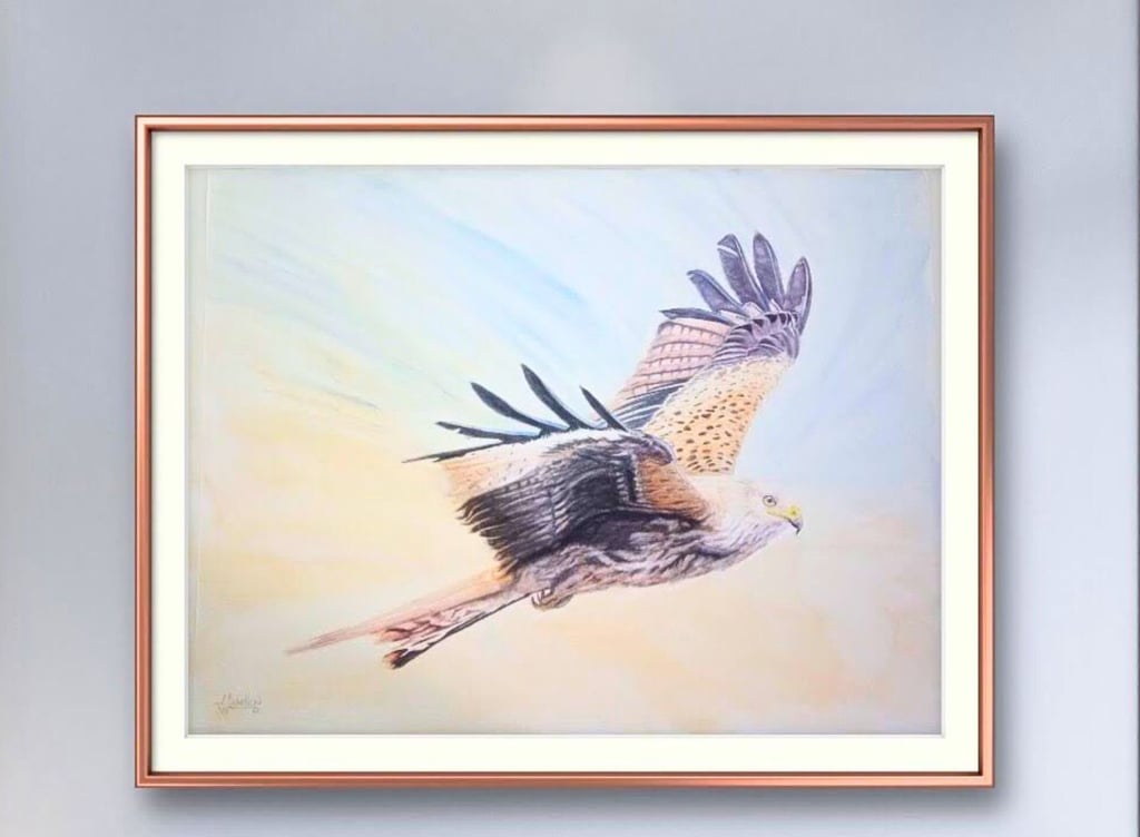 Red Kite in Flight