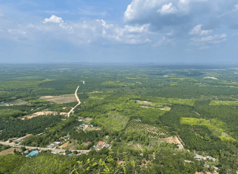 Luftaufnahme einer üppigen grünen tropischen Talschaft mit dichten Wäldern und einer kurvenreichen