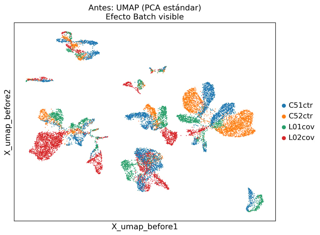 UMAP before integration