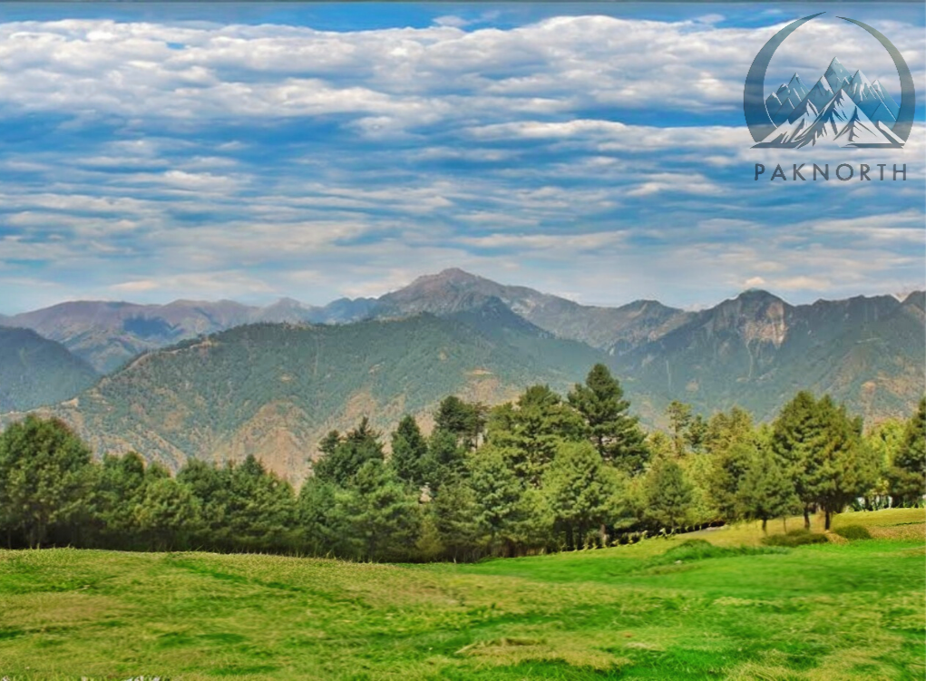Beautiful green meadow at kaghan valley in summer