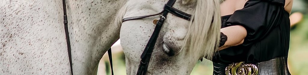 Model in black dress posing beside a white horse in nature, photographed by Fred Art Studio.