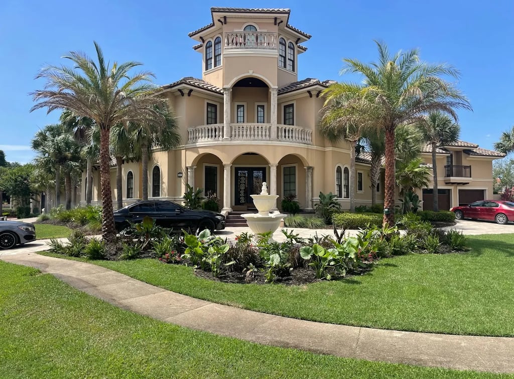 house with palm trees
