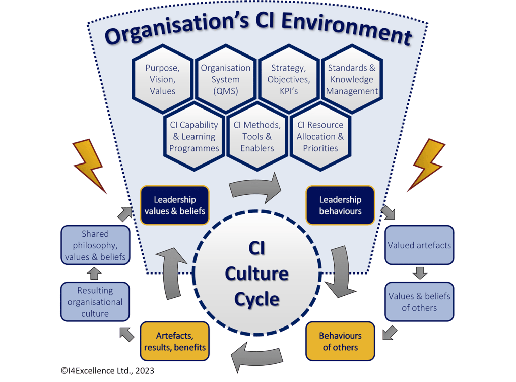 A diagrammatic meta-model of an organisation's CI Environment adapted from reference.