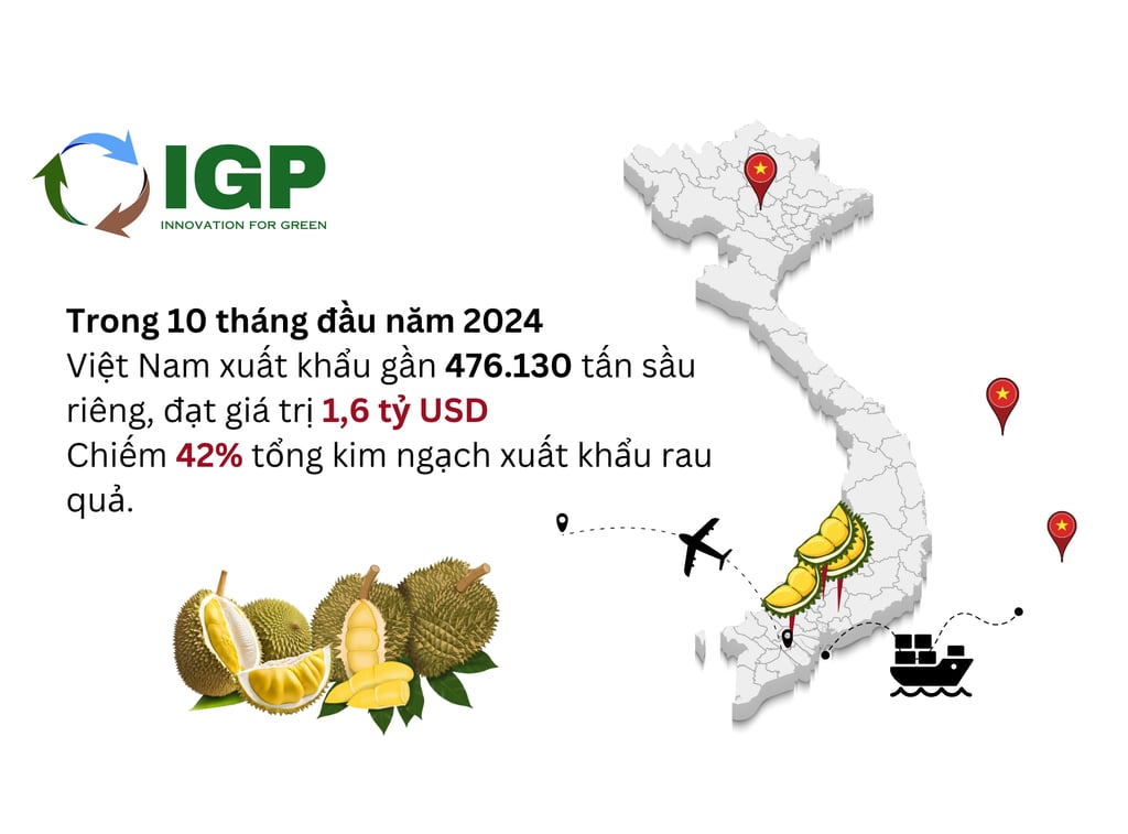 Sóng nhựa đựng sầu riêng