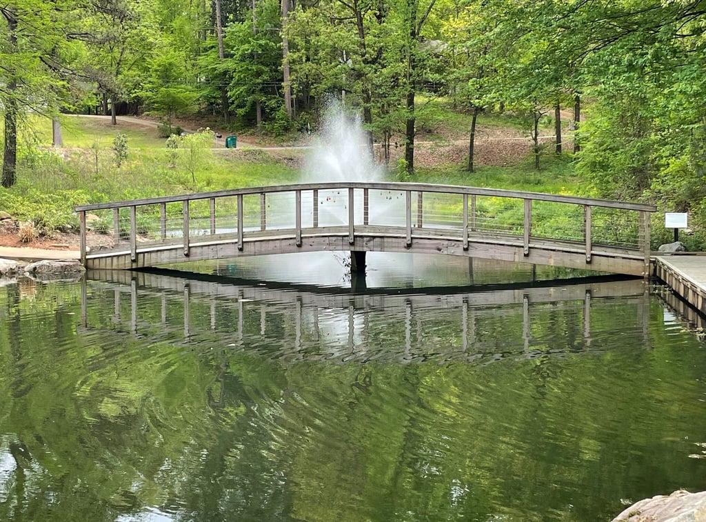 a pond with a fountain in the middle of it