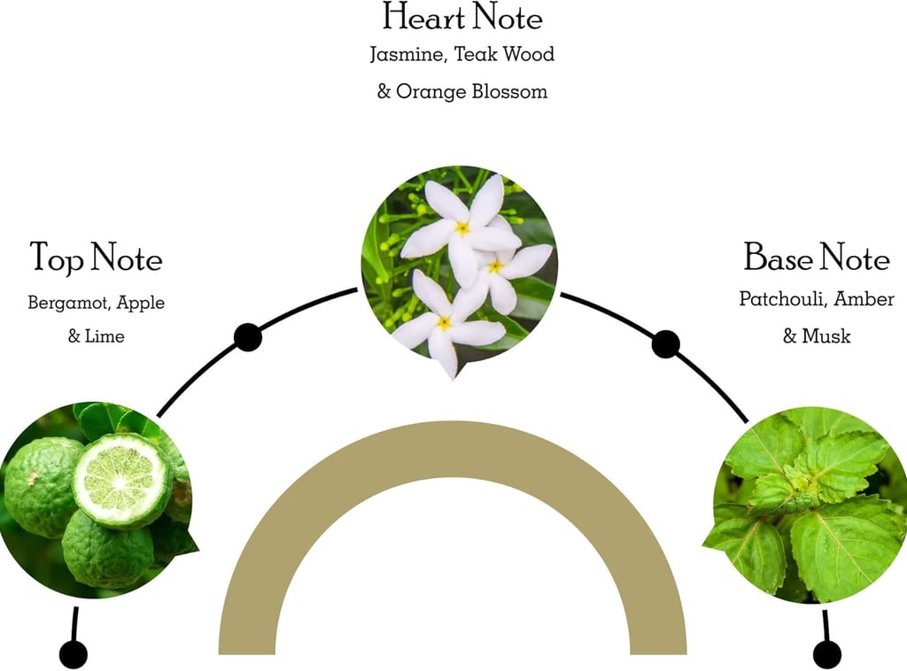 dessin fleur citron menthe avec des descriptions