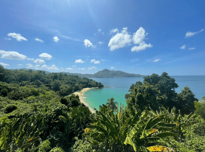 Panoramablick auf eine tropische türkisfarbene Bucht mit Sandstrand, umgeben von üppigem Dschungen