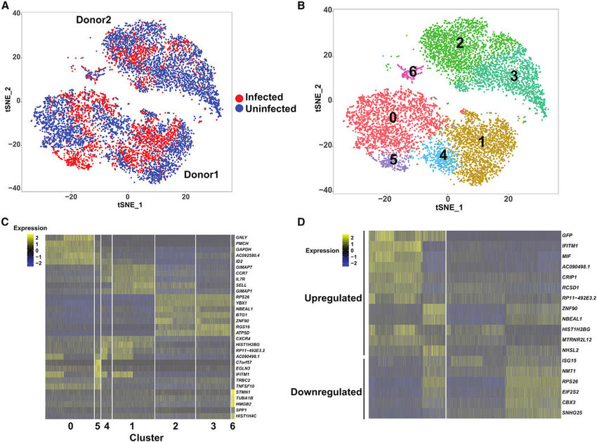 single cell bioinformatica mexico