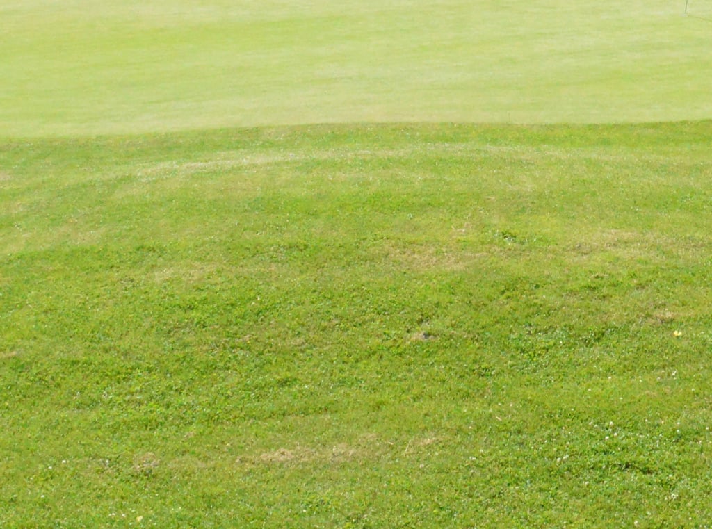 Tonte de pelouses à Soisy-sur-Seine et aux alentours.