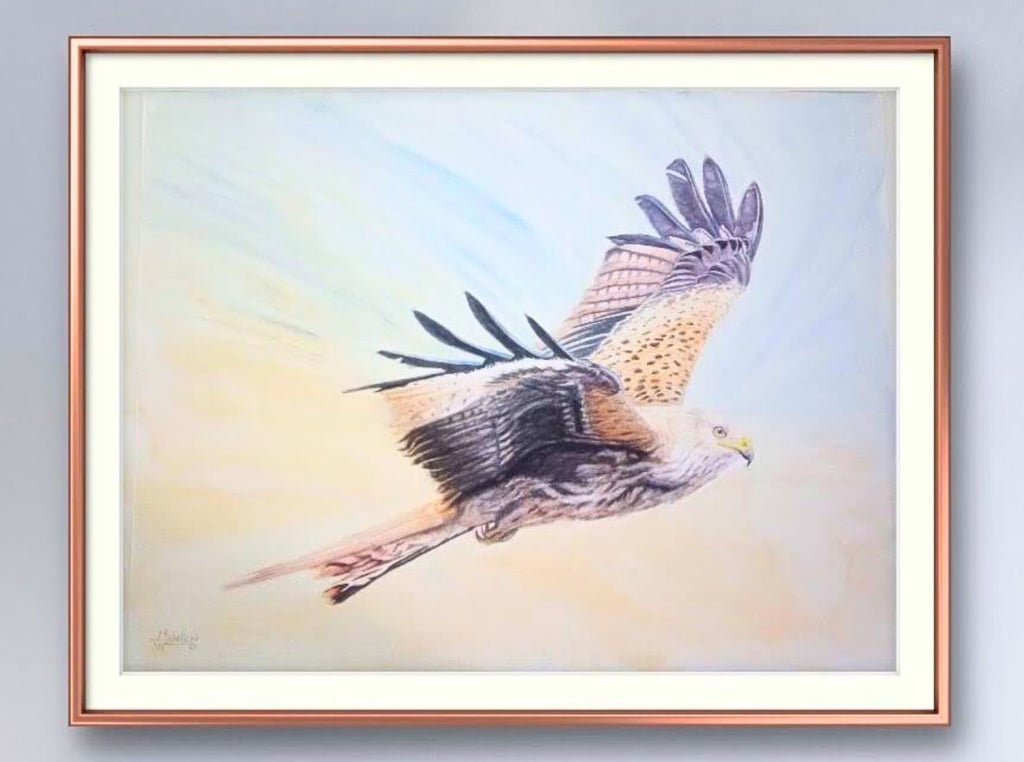 Red Kite in Flight Original Artwork