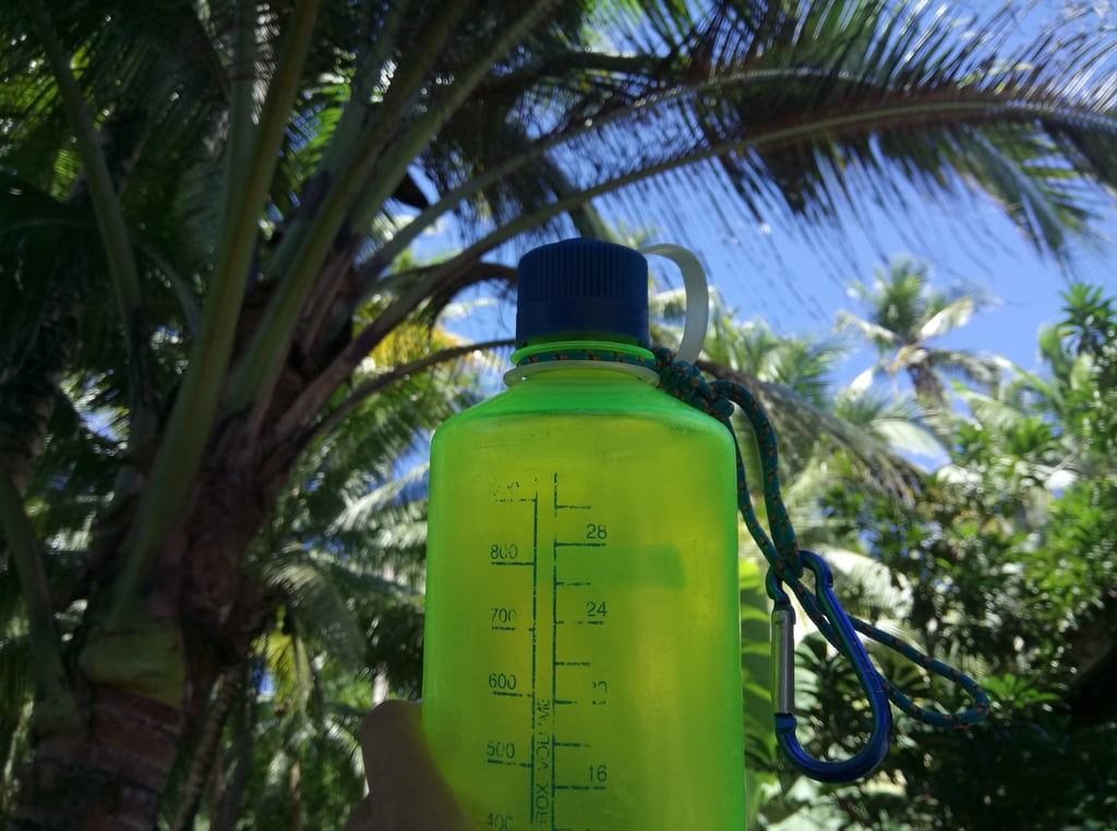 Green Nalgene bottle held up under palm trees with bright sky and tropical leaves above.