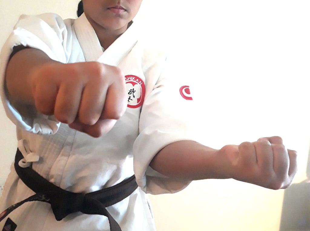 Okinawan Bushikan International dojo martial arts training session