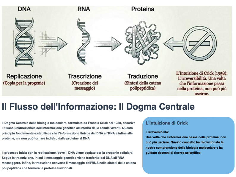 Biologia: La regola Fondamentale e il Flusso dell'Inormazione genetica