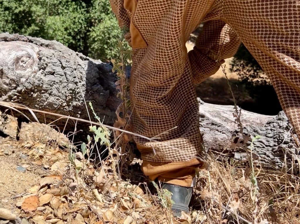 Property Management Pest Control Bee Treatment in Wildomar CA by Footprint Pest Management