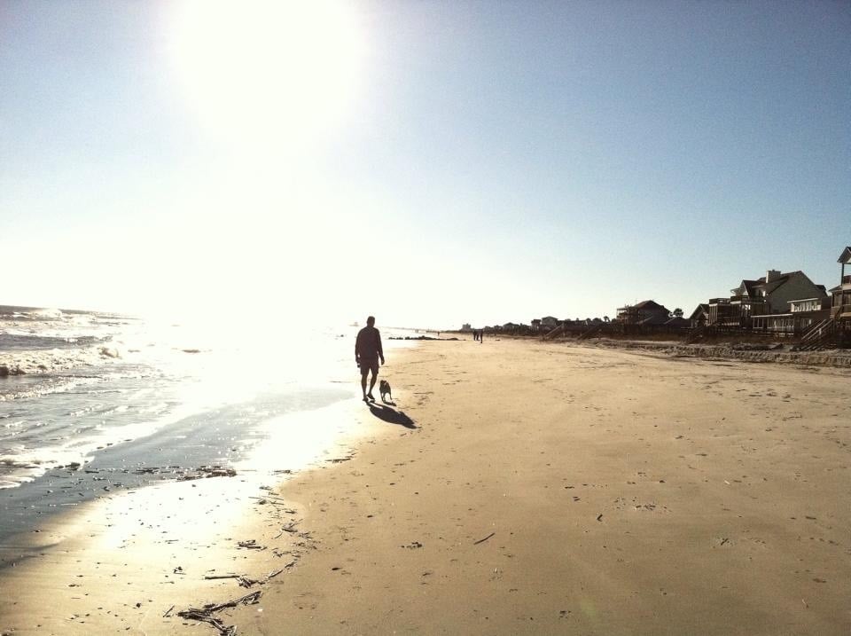 beach walk with beloved pet