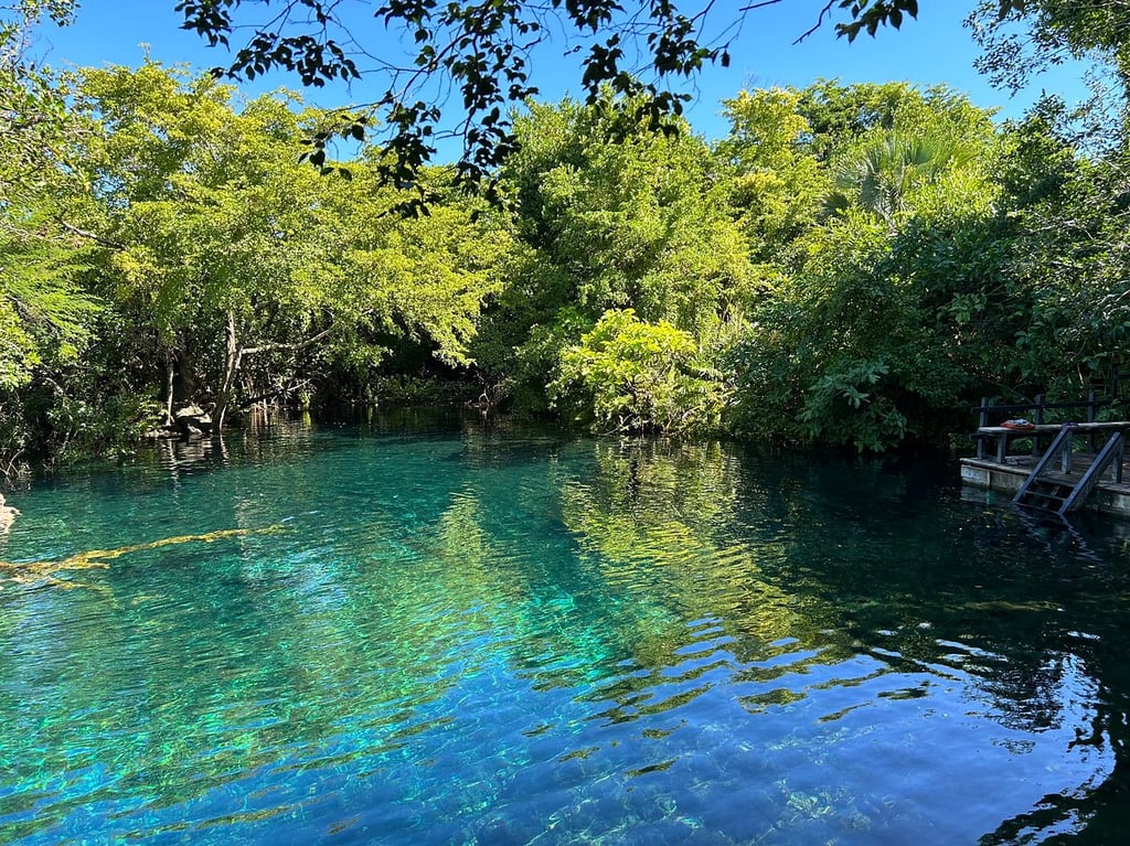 cenote lagoon in punta cana