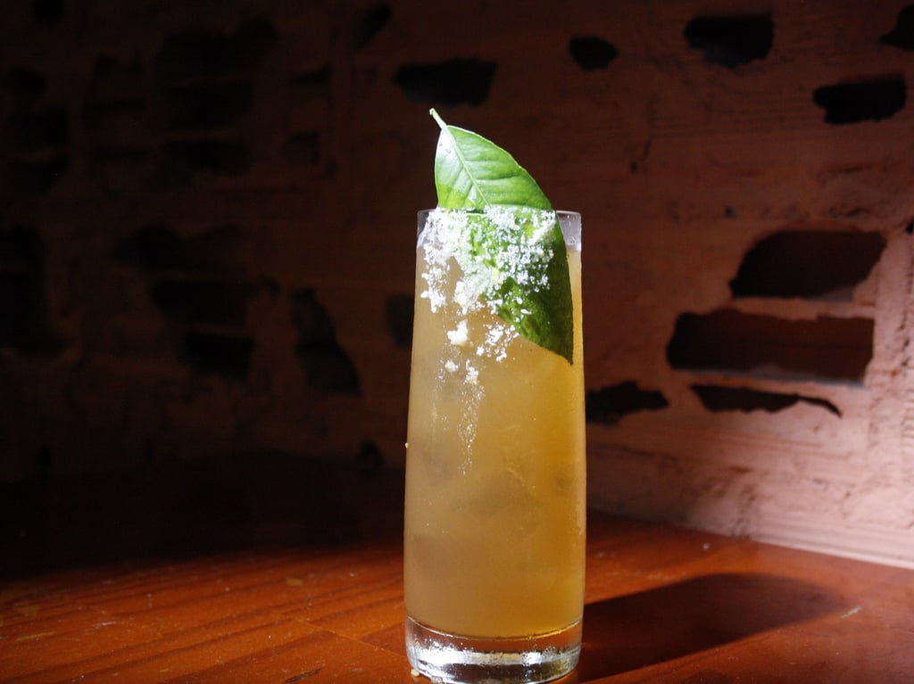 cavalo_de_fogo_solara_bar_bing_wu