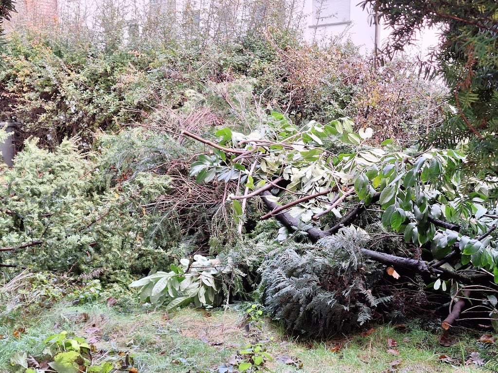compost materials which need to be decomposed
