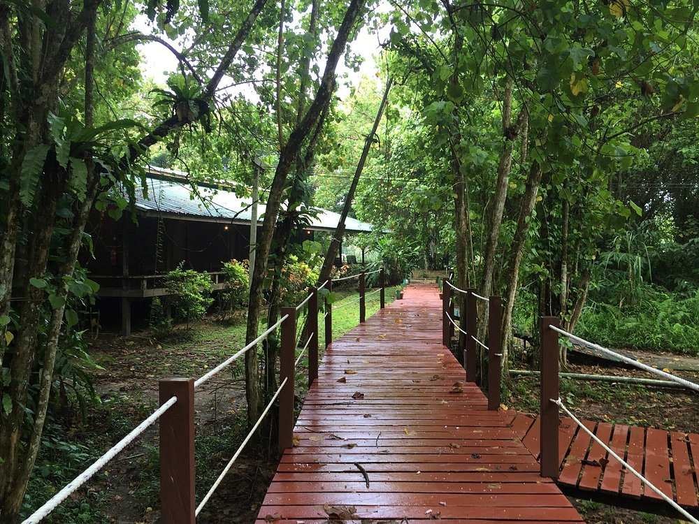 Tanini Kinabatangan Nature Lodge, Sabah