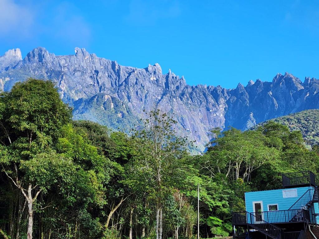 The Mountain Camp Mesilau
