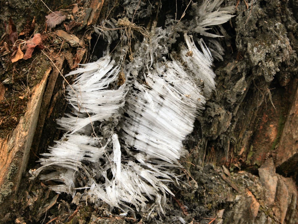 Frost beard in Appalachia