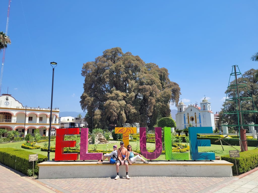 Árbol del Tule Oaxaca