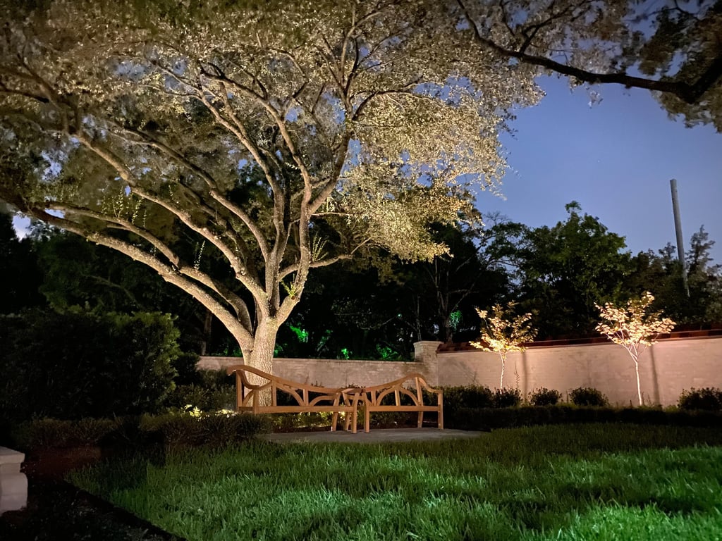 tree canopy up lighting