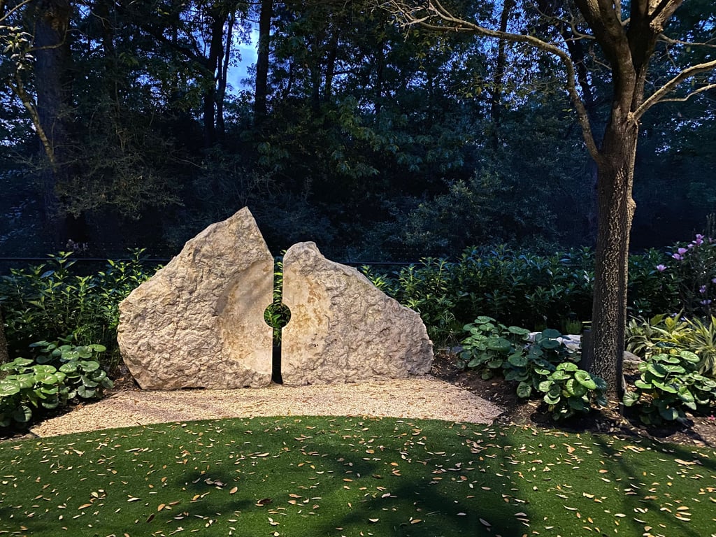 focused accent spot light on stone from tree