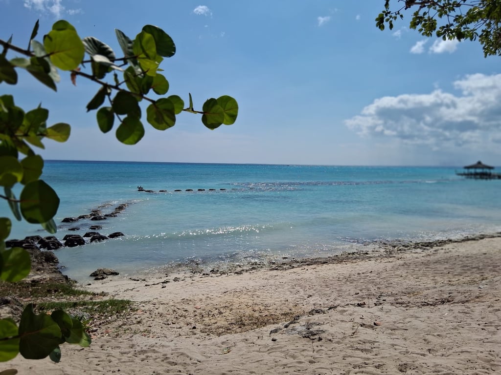 Calm beach with clear water and no sargassum in the Dominican Republic