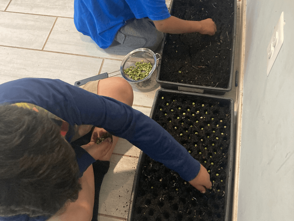 clarify your garden goals