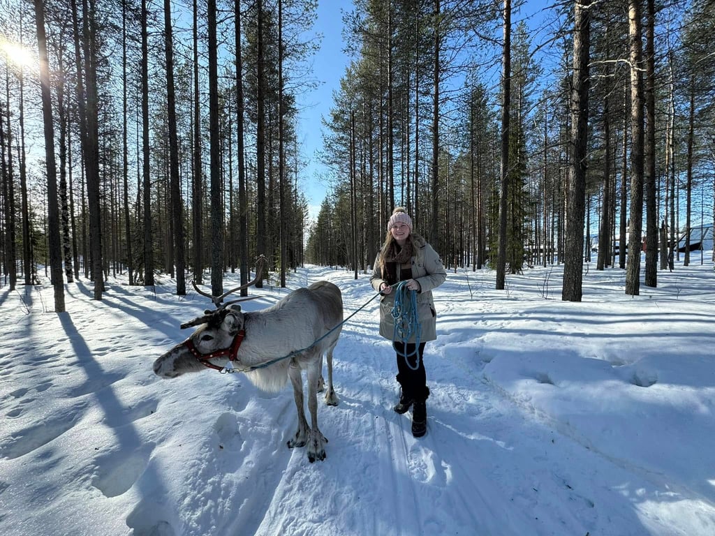 A woman leading a reindeer on a leash through a snowy pine forest in Lapland during winter.