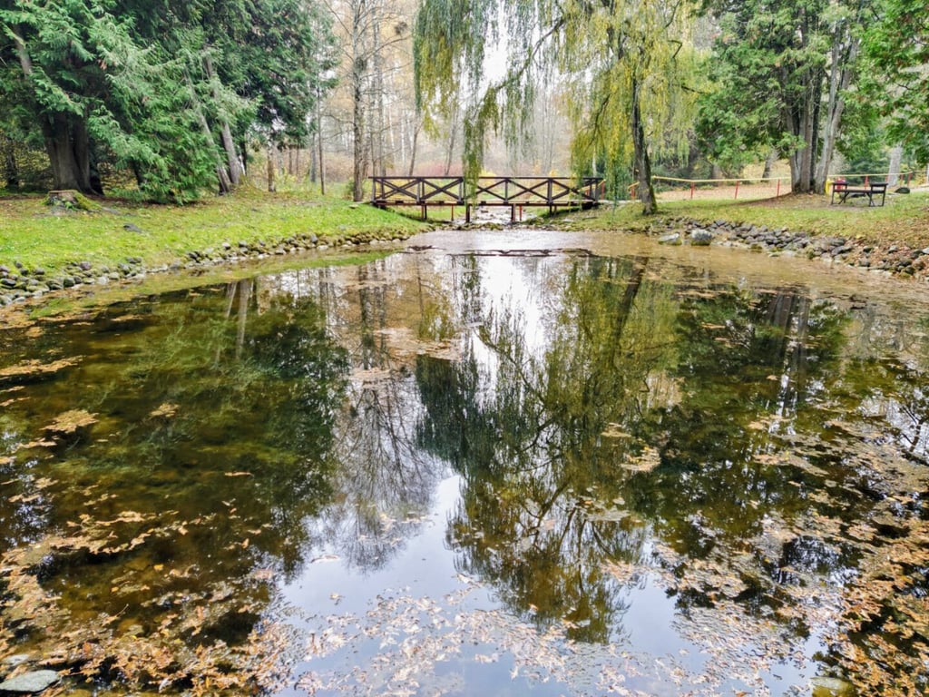 Smardonės šaltinis