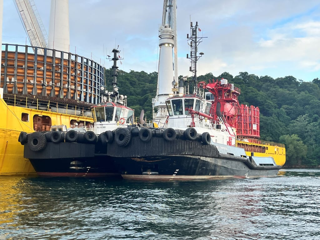 Technical Due Diligence Consult Maritime LLC
