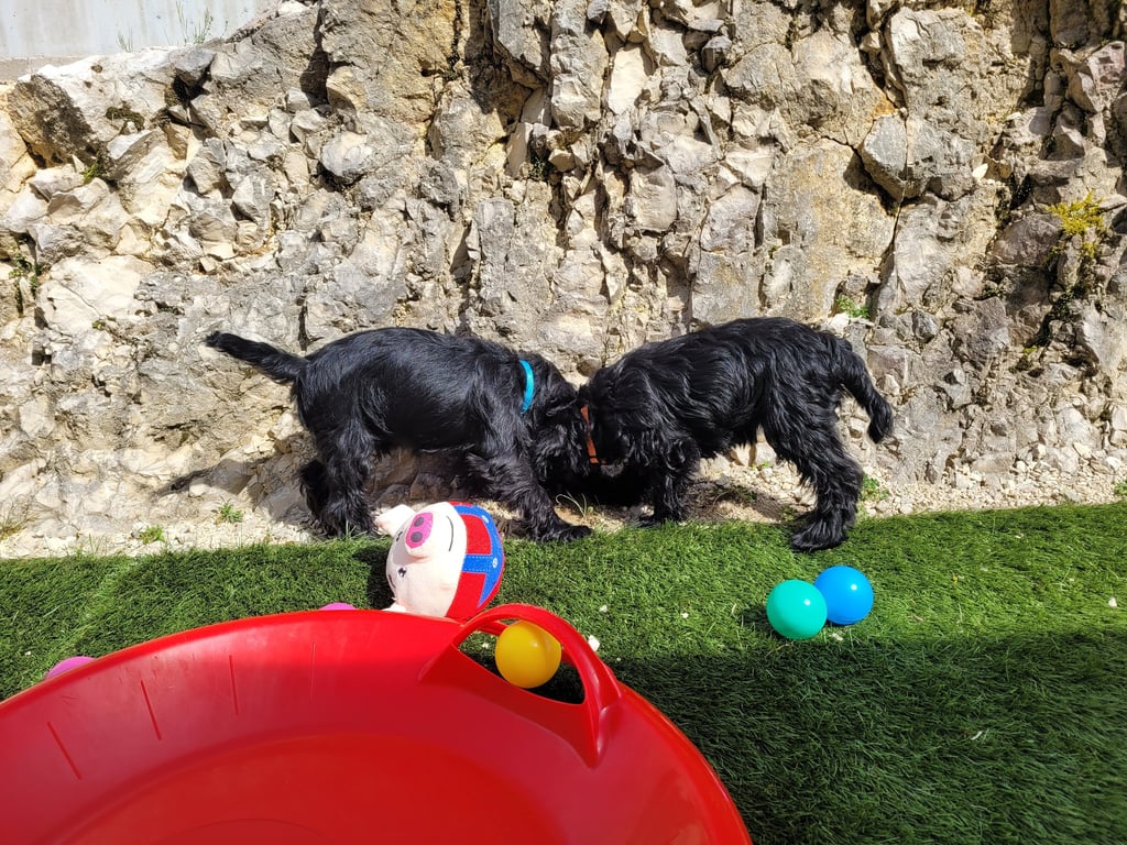 Découverte de la nature