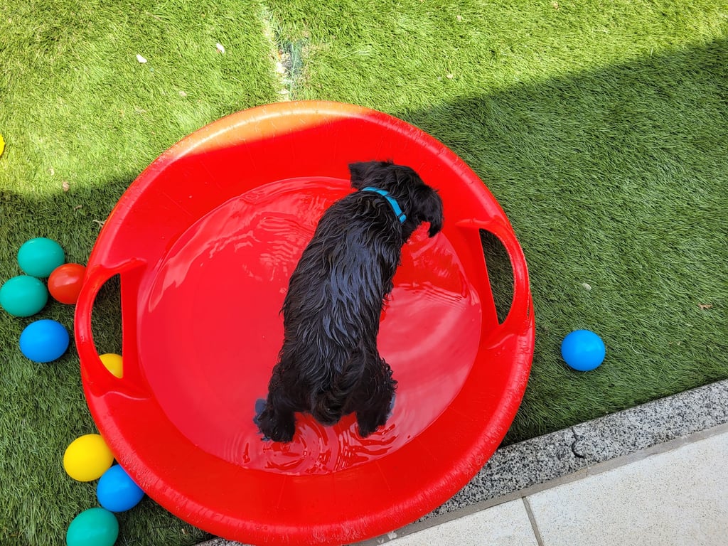 Un bon bain rafraichissant !!!