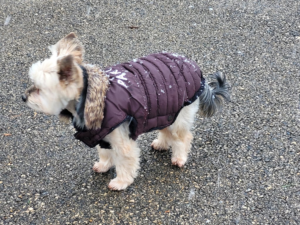 Indiana , le pas comme les autres !!!